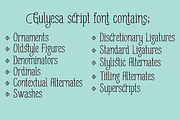 Gulyesa Script, a Script Font by Ahmet Altun (Thumbnail 2 of 5)
