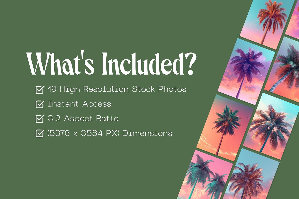 19 Pastel Palm Backgrounds, a Background Photo by Incomelion (Photo 2 of 6)