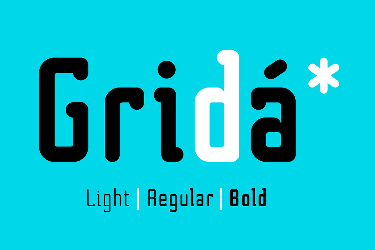 Grida Font Family, a Sans Serif Font by Max Glimm Type (Photo 1 of 7)