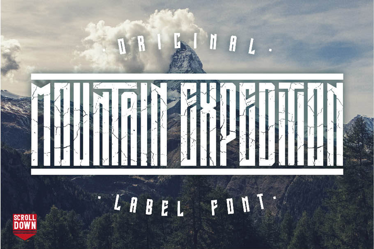 16 Font Families Bundle, a Script Font by VozzyStock (Photo 12 of 17)