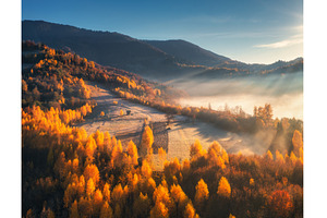 Aerial view of beautiful orange, a Nature Photo by den-belitsky