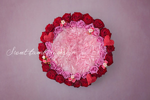 Newborn Photography Digital Backdrop