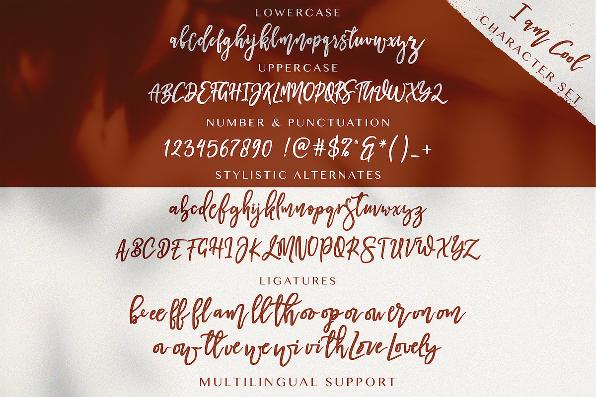 I am Cool - Brush Script Font, a Script Font by StringLabs (Photo 6 of 7)
