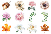 Vintage Botanical Clipart, an Illustration by CitraGraphics (Thumbnail 3 of 4)