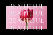 CANNU, a Serif Font by DYSA Studio (Thumbnail 11 of 13)