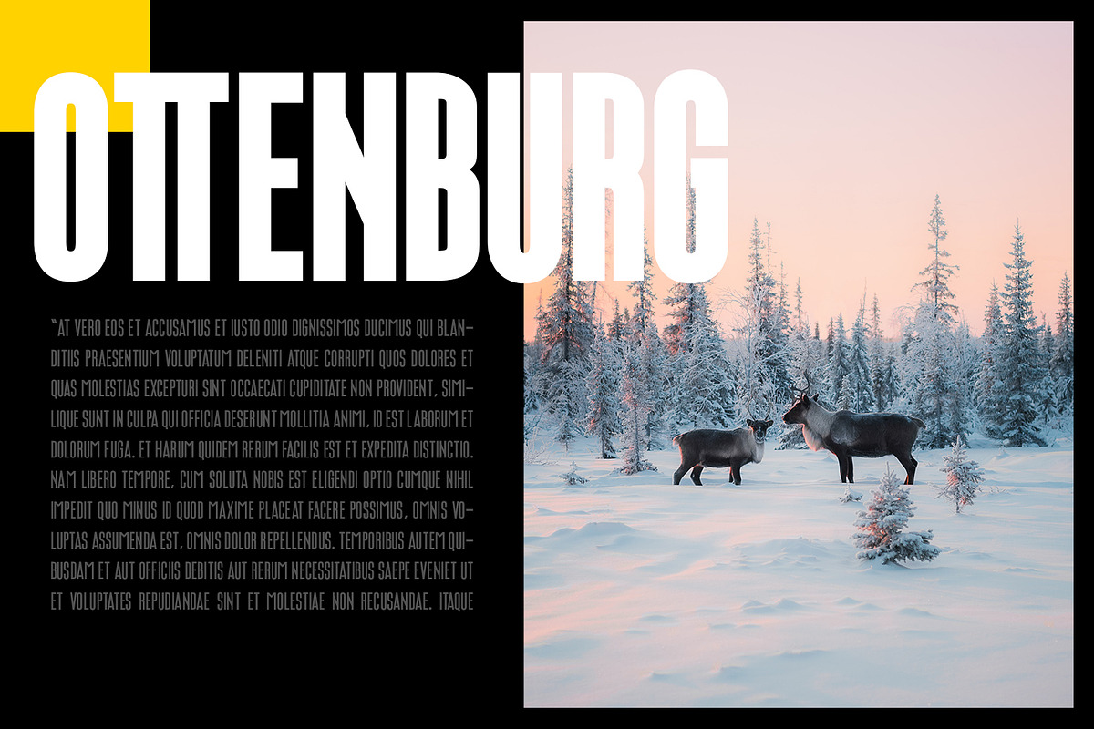Ottenburg Display Typeface, a Sans Serif Font by Foxtype (Photo 6 of 8)
