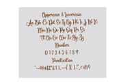 Delight, a Handwritten Font by InermediaSTUDIO (Thumbnail 5 of 7)