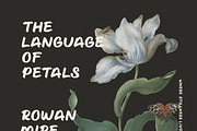 Mira Notes, a Handwritten Font by RanRan & Co. (Thumbnail 3 of 12)