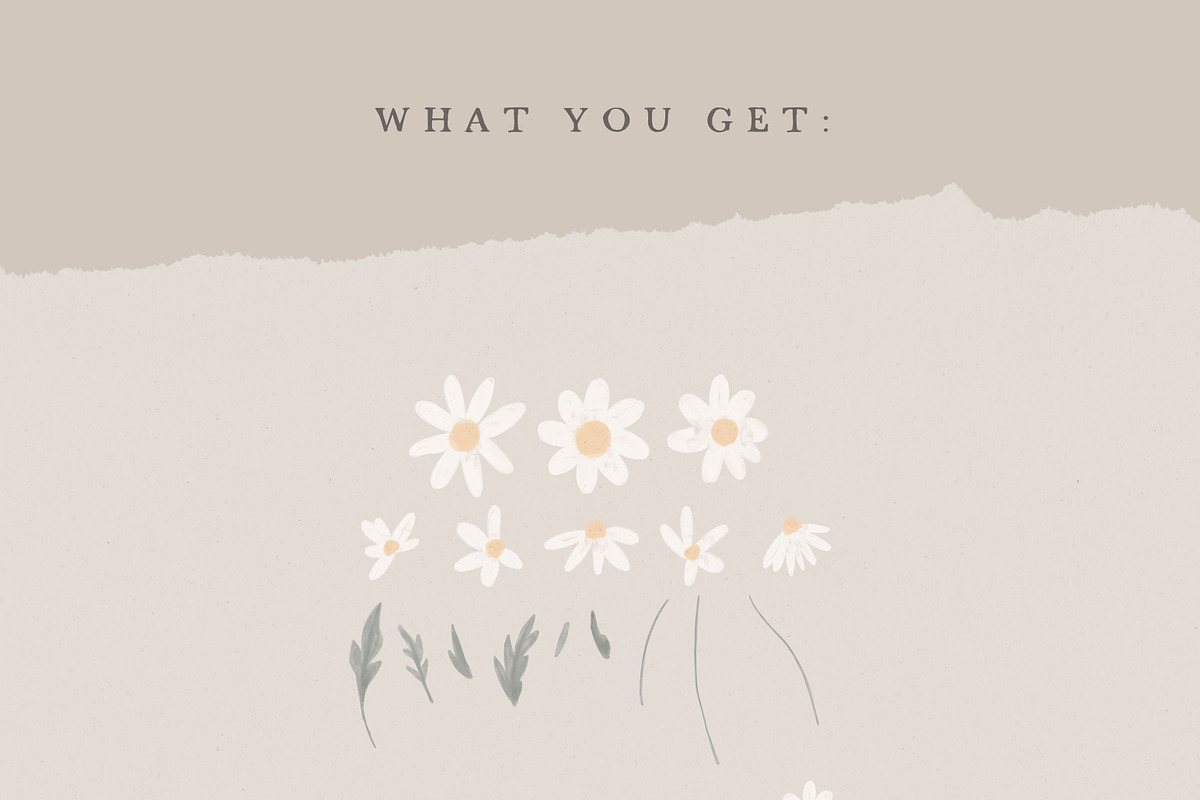 WATERCOLOR DAISY / illustration set, an Illustration by KruthDesign (Photo 2 of 7)