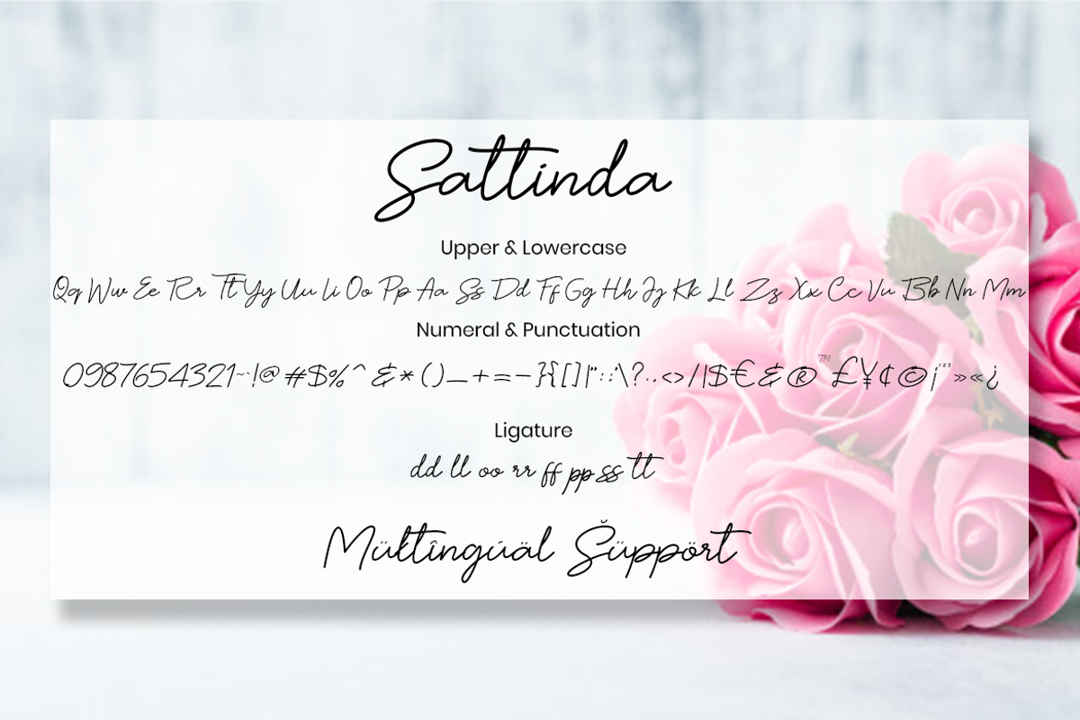 Sattinda Script Monoline Font, a Script Font by MC Creative (Photo 6 of 7)