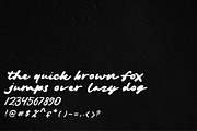 Danilla, a Handwritten Font by typeline studio (Thumbnail 5 of 6)
