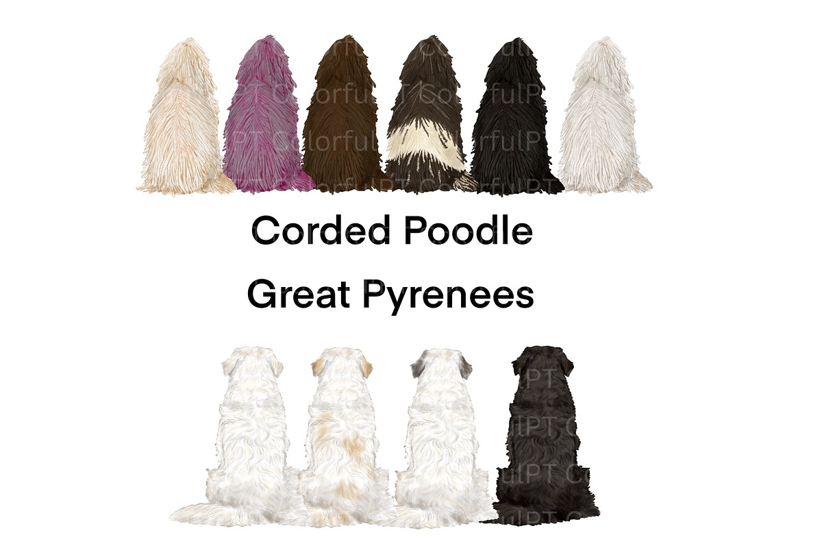 Dog Breeds Clipart, an Animal Illustration by ColorfulPT (Photo 7 of 8)