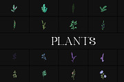 Plants for DaVinci Resolve, a Templates & Theme by 2dfx (Thumbnail 1 of 2)