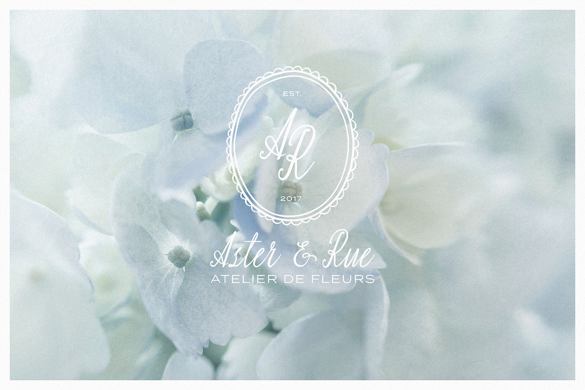 Rue Margot Elegant Wedding Script, a Script Font by AnMark (Photo 8 of 15)