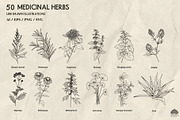 Medicinal Herbs line art + Procreate, an Illustration by Skliarova (Thumbnail 2 of 5)