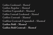 Castlon | 16 Fonts, a Serif Font by Skinny Type (Thumbnail 5 of 10)