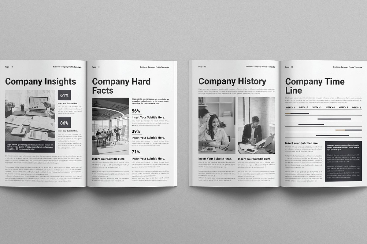 Business Company Profile Template, a Brochure Template by E-Type (Photo 5 of 8)