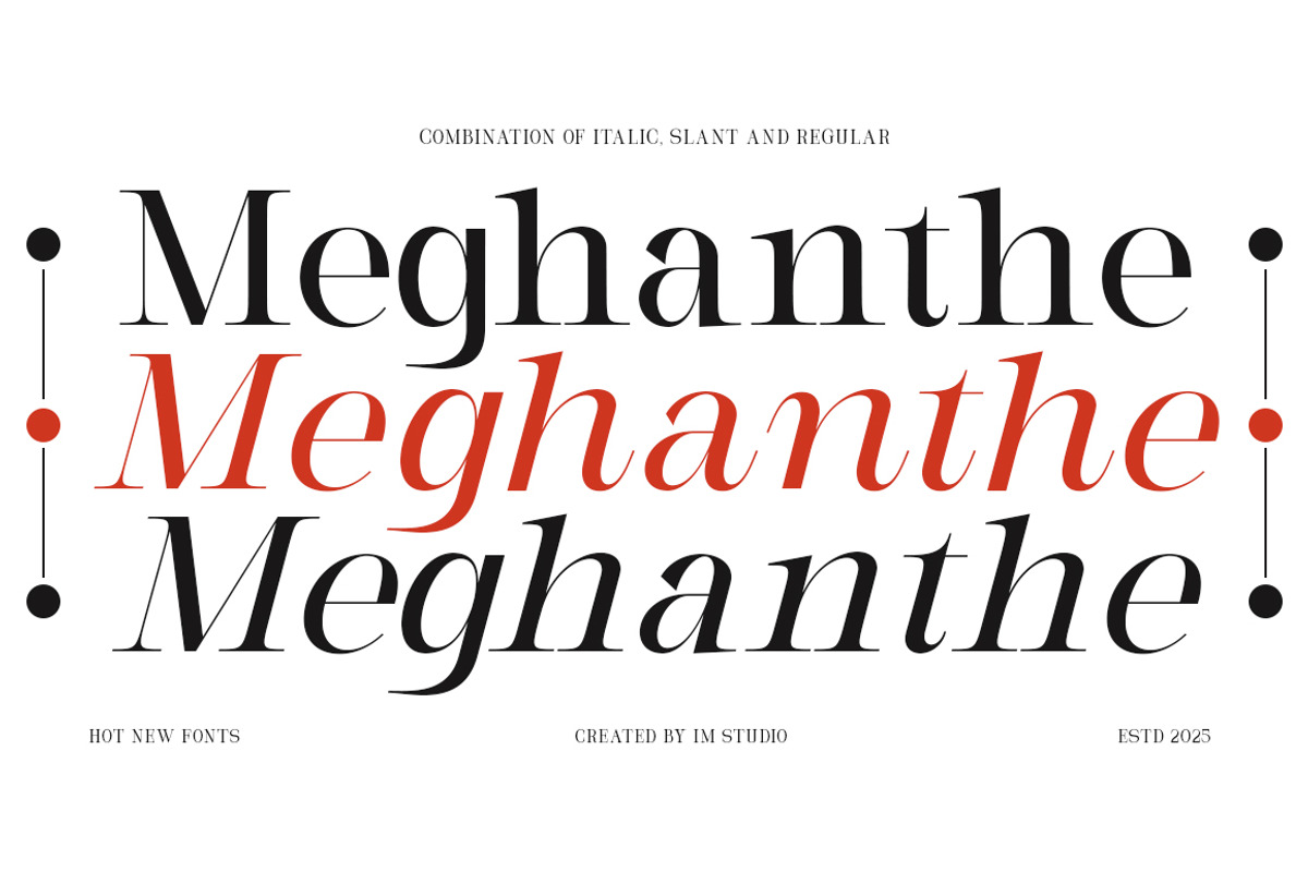 Milghera Serif, a Serif Font by IM Studio (Photo 11 of 12)