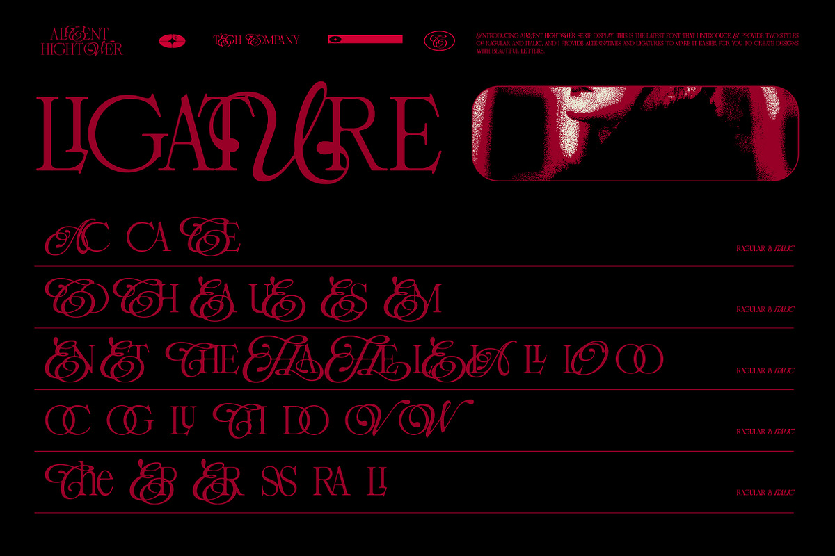 ALICENT HIGHTOWER SERIF DISPLAY, a Serif Font by Tegh co. (Photo 8 of 16)