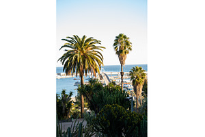 Barcelona tropical scene with, a Nature Photo by volodymyrshtun13795