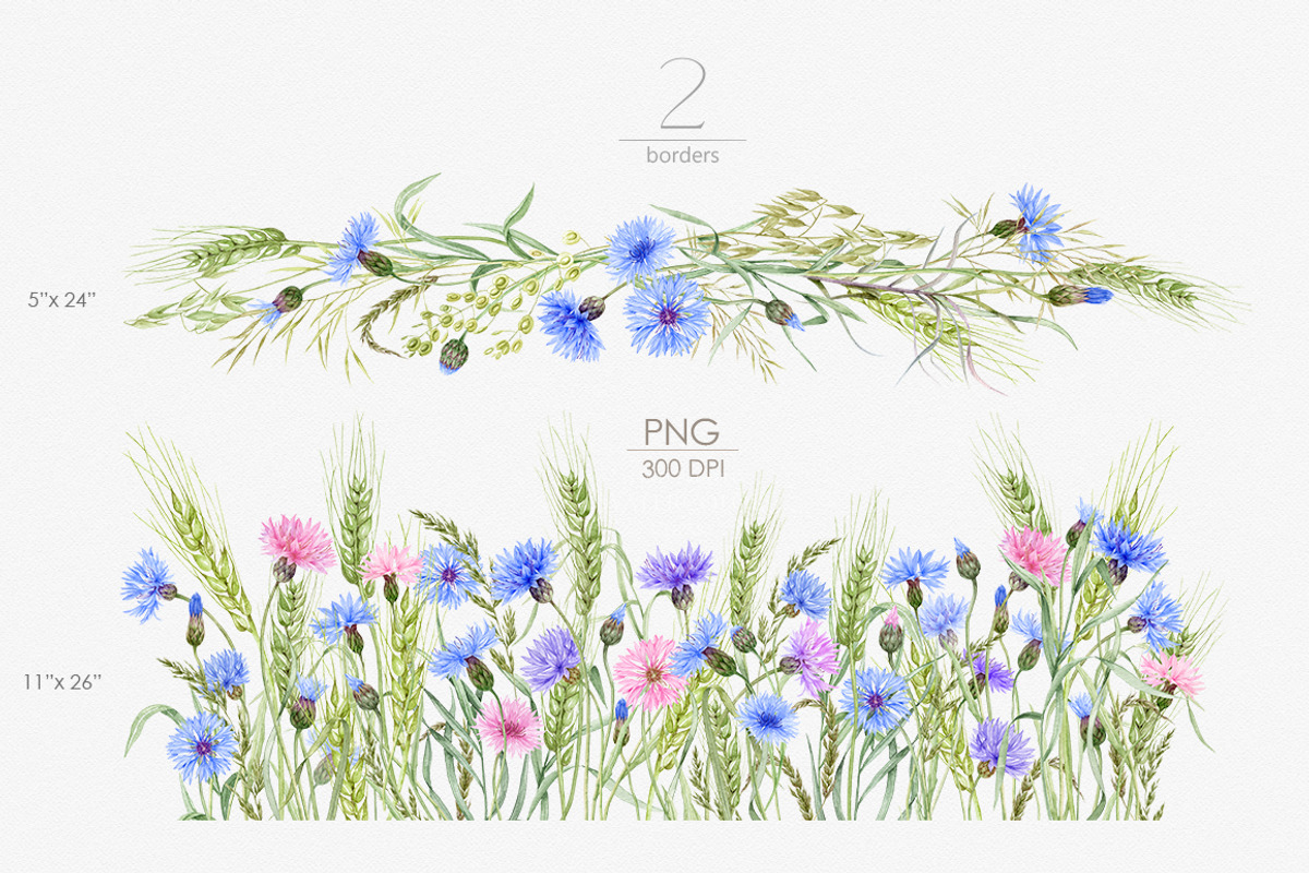 Knapweed and wildflowers collection, an Illustration by ReachDreams (Photo 7 of 12)