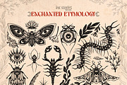 Enchanted Etymology | Ink Halloween, an Animal Illustration by Ink Stories (Thumbnail 2 of 9)