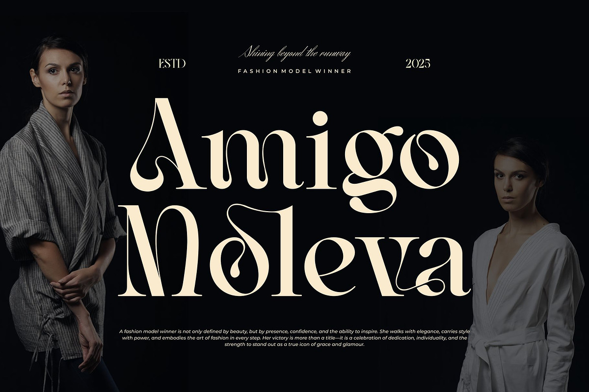 Ranelo || Modern Elegant Serif Font, a Serif Font by Ermedia Studio (Photo 4 of 10)