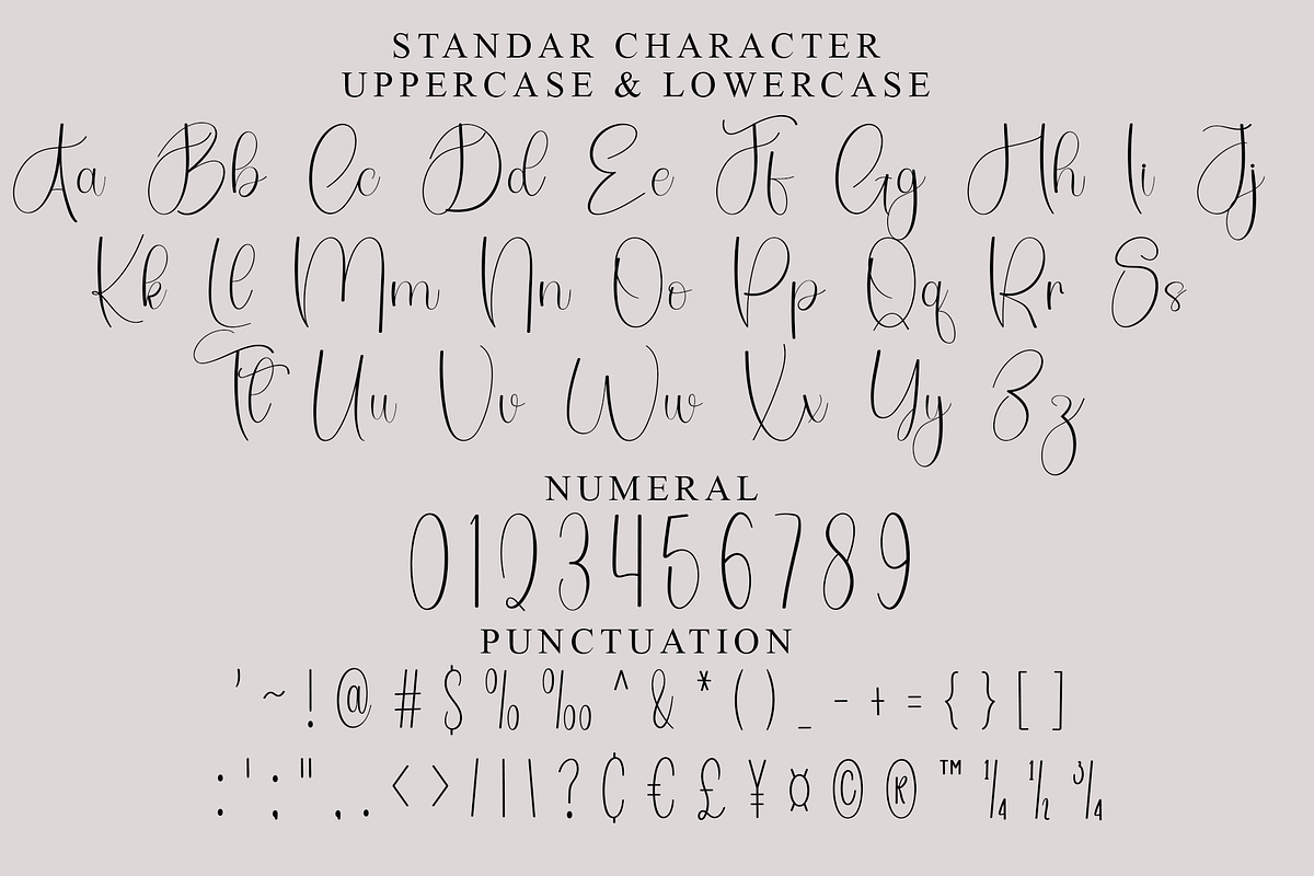 Wedding Bride, a Handwritten Font by FreshTypeINK (Photo 7 of 8)