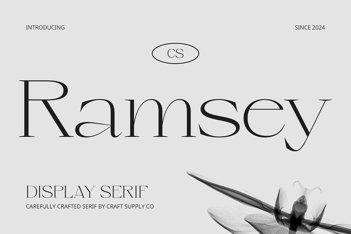 CS Ramsey – Elegant Font, a Serif Font by Craft Supply Co. (Photo 1 of 8)