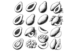 Papaya Fruit Illustration, an Object Graphic by nikagraphic