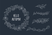 Hand drawn leaves of different trees, a Decorative Illustration by Tkoko vectors & patterns (Thumbnail 9 of 14)