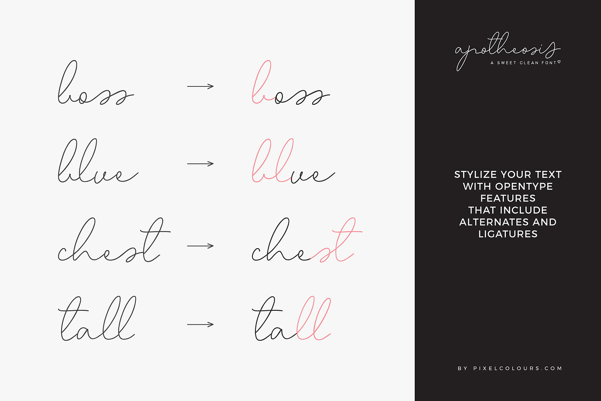 Script Font Apotheosis, a Script Font by pixelcolours (Photo 8 of 15)