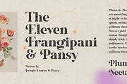 Kidstock, a Serif Font by ilhamtaro (Thumbnail 4 of 11)