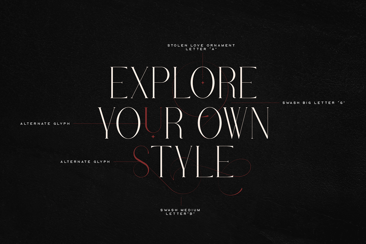 Stolen Love - Elegant serif typeface, a Serif Font by VP Fonts (Photo 25 of 34)