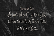 Wishbitten Storybook Serif Font, a Serif Font by The October Creative (Thumbnail 3 of 8)
