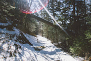 Nature Photo Pack, a Nature Photo by baker2512 (Thumbnail 5 of 20)