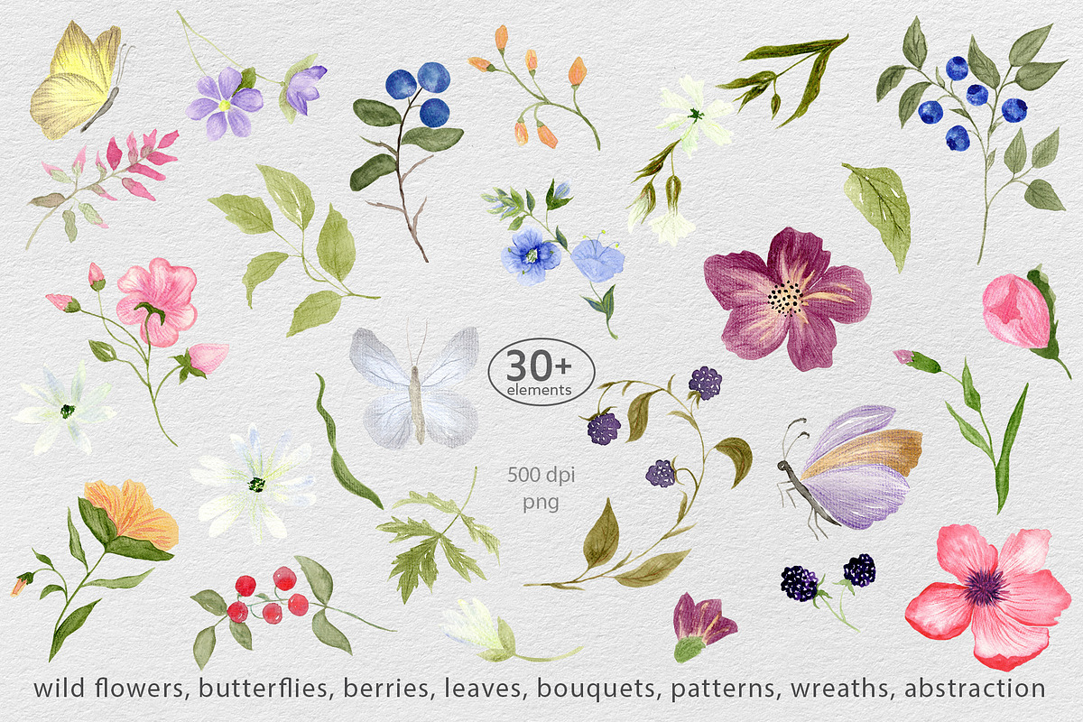 Wildflower & Butterfly Collection, a Decorative Illustration by Nadia Semyroz (Photo 2 of 12)