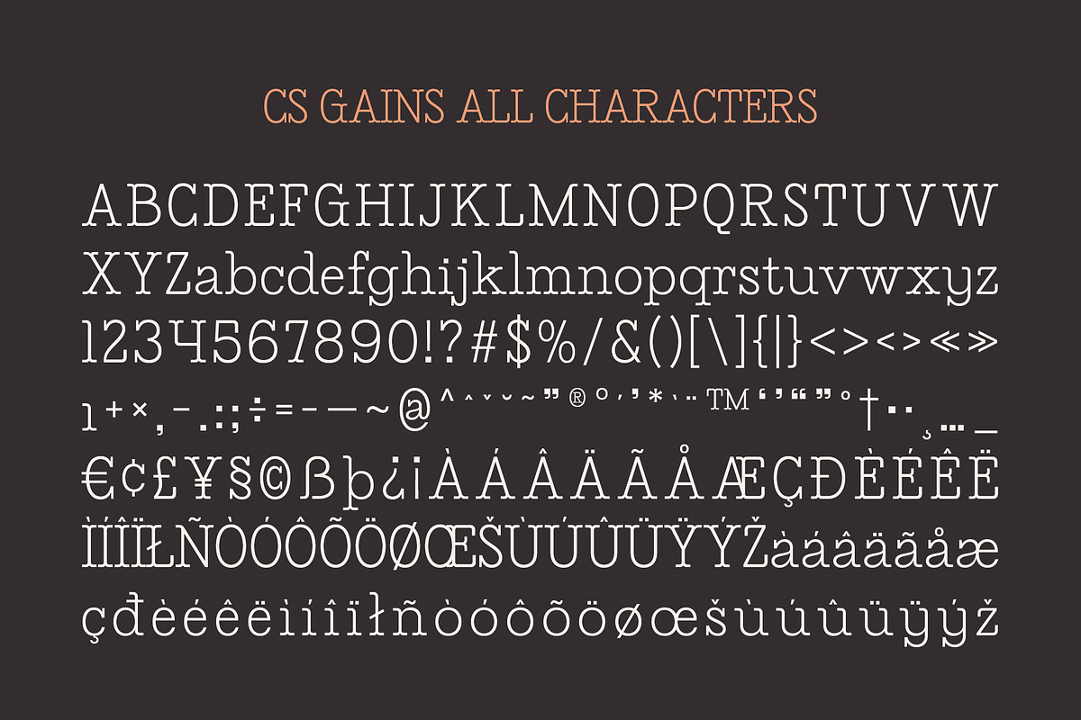 CS Gains – Classic Font, a Serif Font by Craft Supply Co. (Photo 8 of 8)