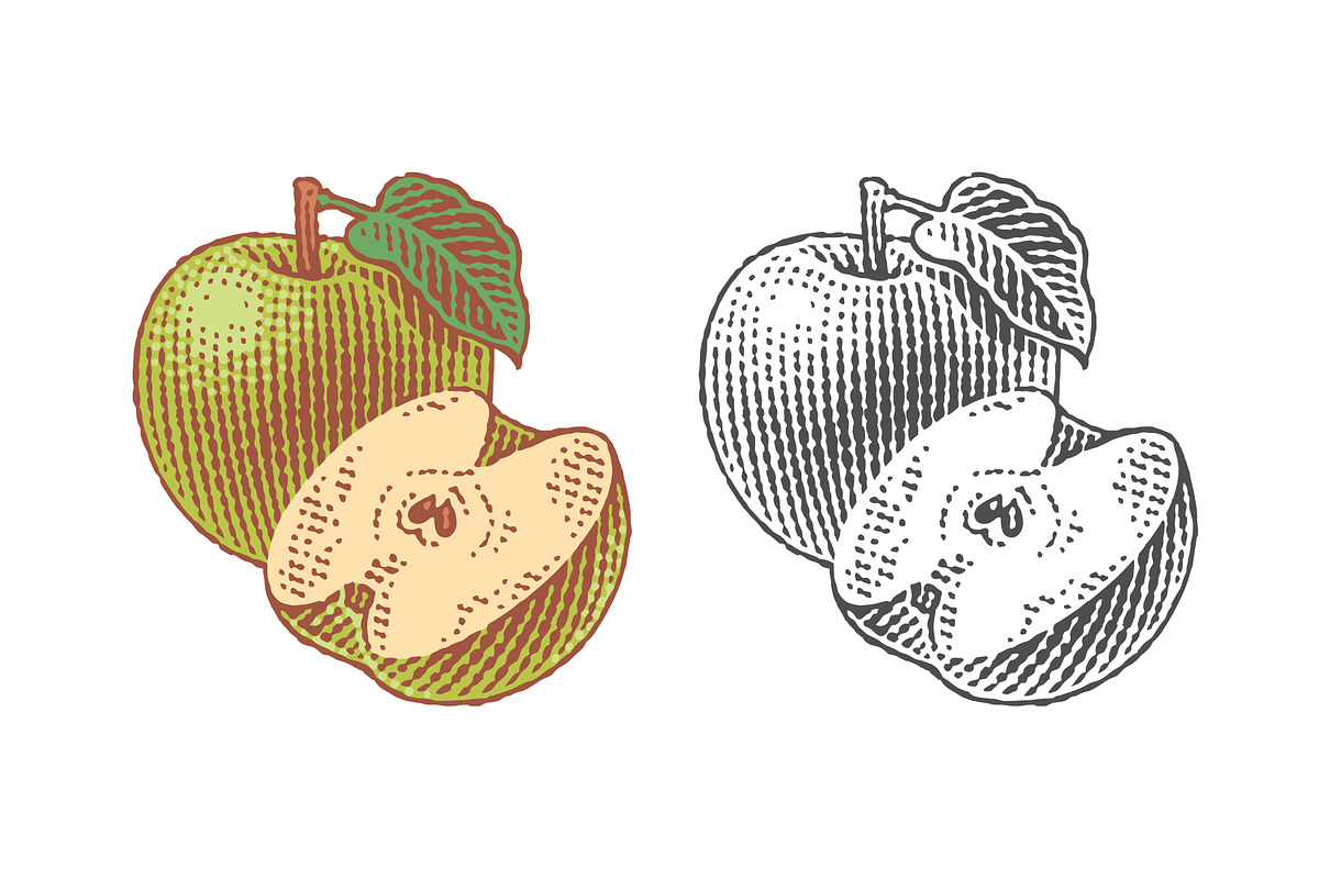 Green apple and apple tree leaf, a Food Illustration by Irina Trusova (Photo 1 of 3)