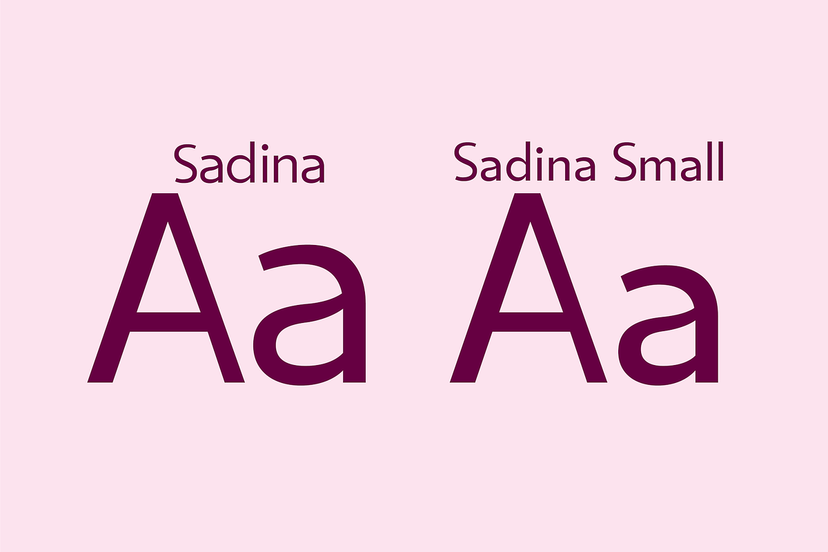 Sadina S, a Sans Serif Font by NumidiaType (Photo 3 of 6)