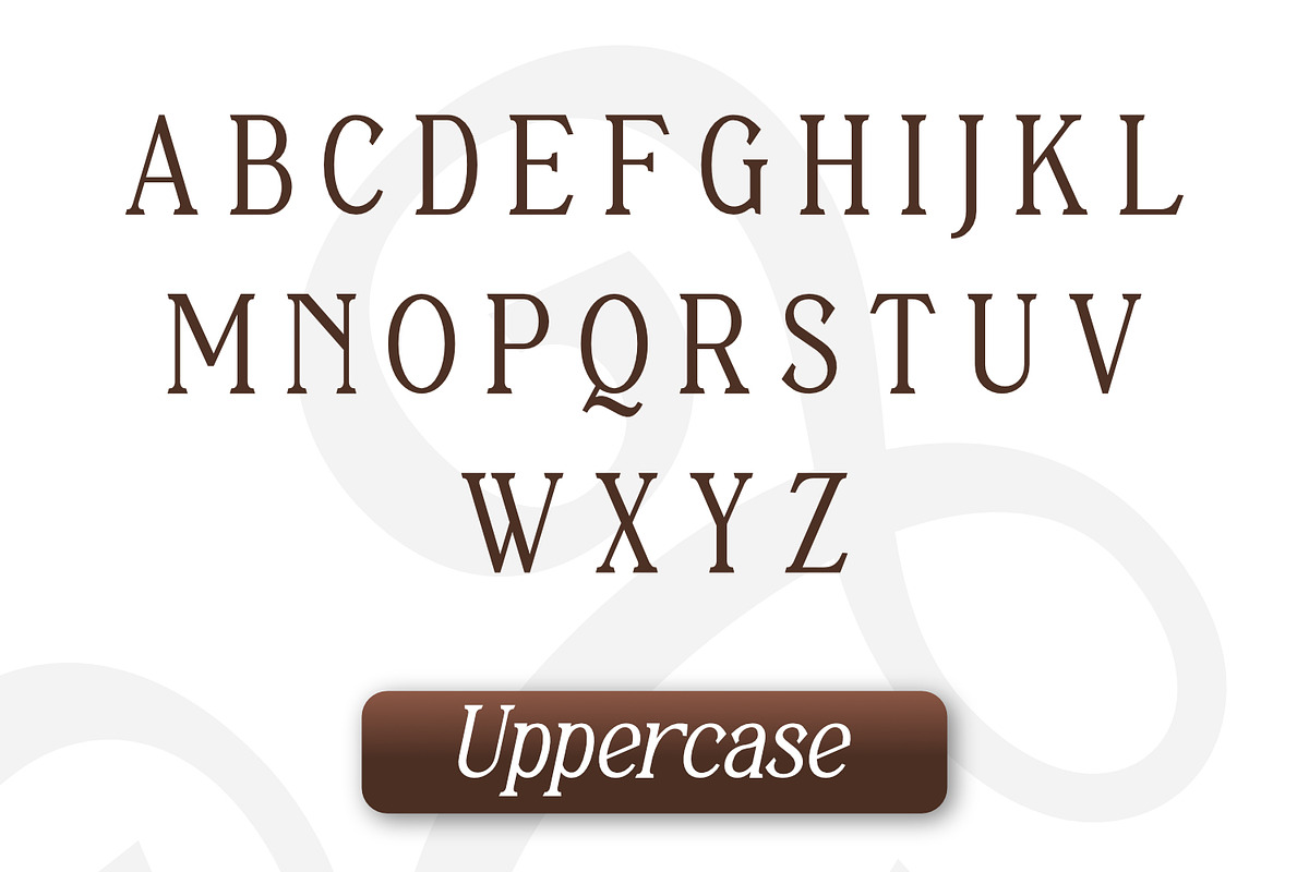 Gradual Adapty, a Serif Font by Rishsketch (Photo 8 of 14)