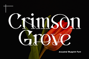 Ancestral Blueprint - Elegant Font, a Serif Font by 177Studio (Thumbnail 6 of 8)