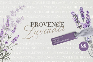 Provence Lavender. Flower Set.