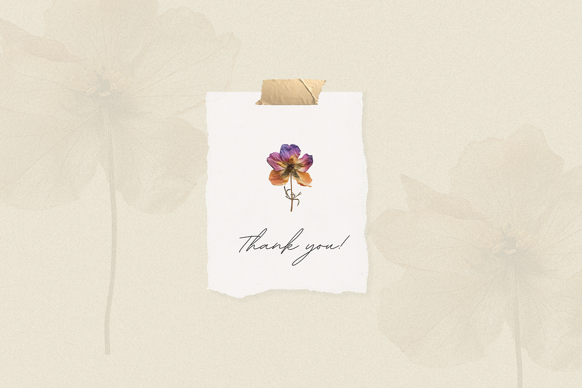 Wilde Flowers Herbarium Collection, an Object Graphic by Nova Studio (Photo 9 of 9)