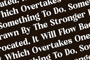 Bredga Decorative Serif Font, a Serif Font by Letterena Studios (Thumbnail 9 of 15)