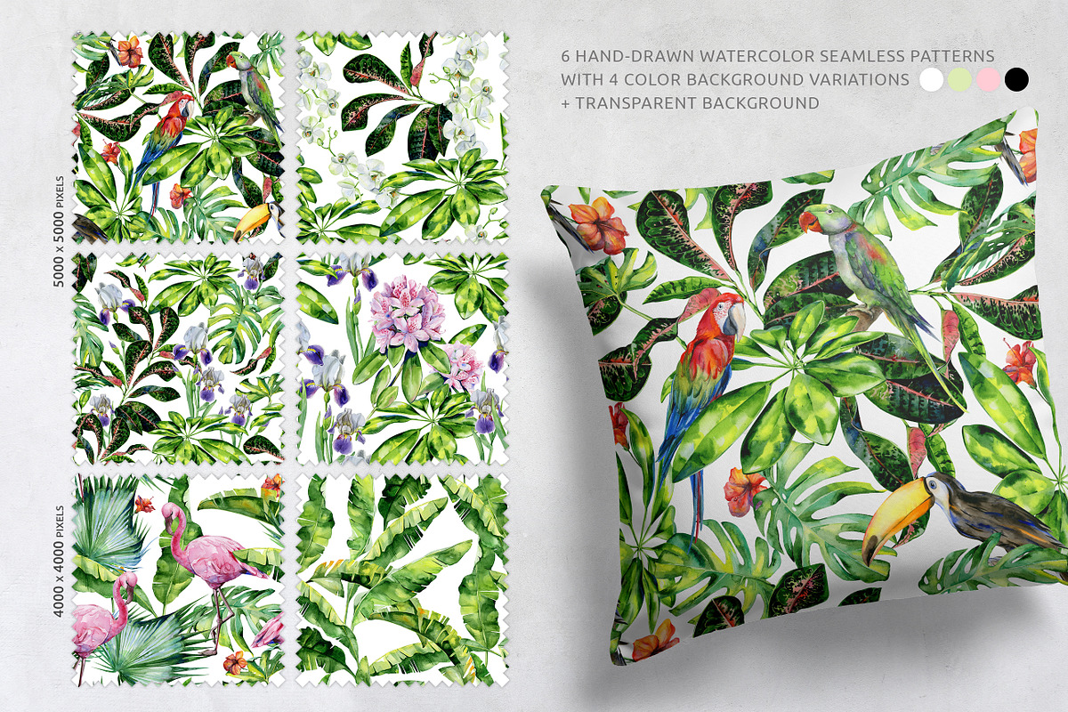 Rainforest illustrations, an Illustration by Anna Myslivets Art (Photo 4 of 7)