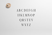 Earwyn Serif 3 Font Family Pack, a Serif Font by Creativetacos (Thumbnail 2 of 5)
