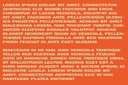 Pimento Typeface, a Sans Serif Font by Bone Idle Goods (Thumbnail 3 of 3)