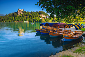 Wooden boats anchored on the lake, a Transportation Photo by Alpine Dreams