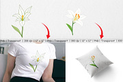Easter Lily Clipart, a Graphic by Artnoy (Thumbnail 3 of 5)